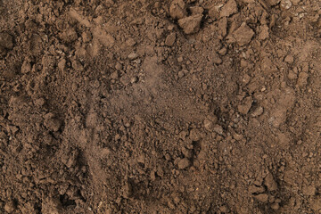 Brown dark soil ground close up abstract texture background with copyspace top view