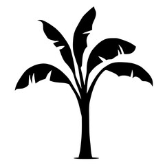 banana tree silhouette, HD image