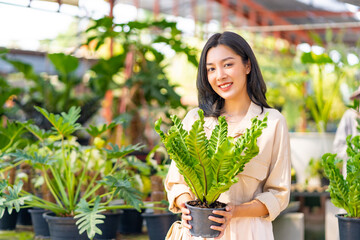 Happy Asian woman shopping and buying pot plant at street market on summer holiday vacation. People...