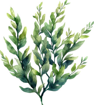watercolor green leaves on white background clip art preview