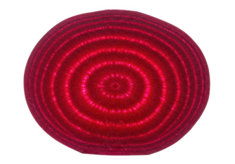 Close up of a sliced beet showing concentric ring pattern on transparent background