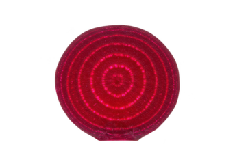 A vibrant magenta sphere with concentric circle patterns on transparent background