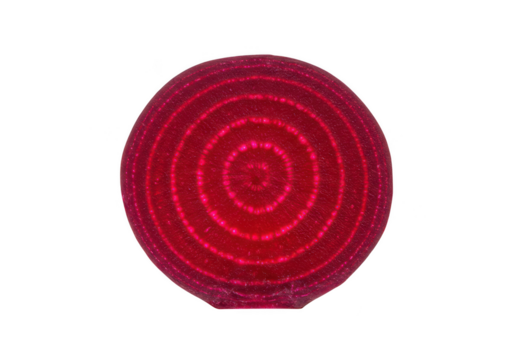 A vibrant magenta sphere with concentric circle patterns on transparent background