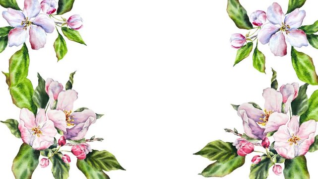 Elegant watercolor frame lamination with apple blossom branches, pink flowers green leaves on a black background. Perfect for greeting cards, wedding invitations, and floral-themed design templates.