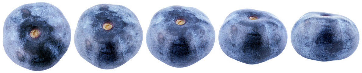 Set of blueberry berries isolated on transparent background