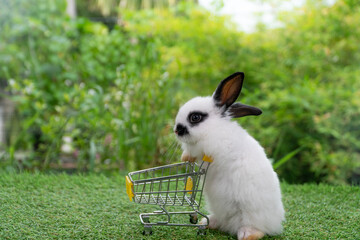 Adorable baby rabbit furry bunny pushing empty yellow shopping basket cart walking on green grass....