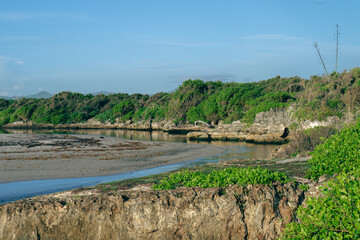 view of a small bay with a coast made of rocks with green grass on a sunny day with blue sky