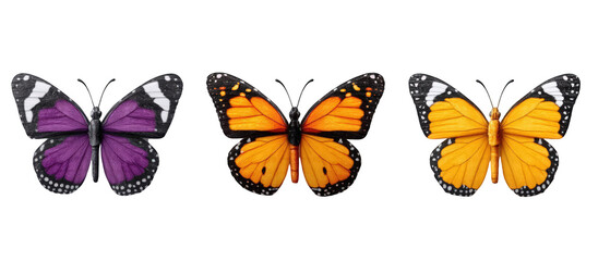Three colorful butterflies in vibrant hues perched on a surface, showcasing nature's beauty
