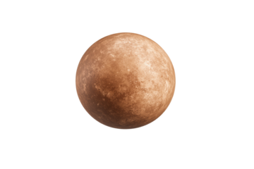 Large, round, brown object is on a white background, isolated