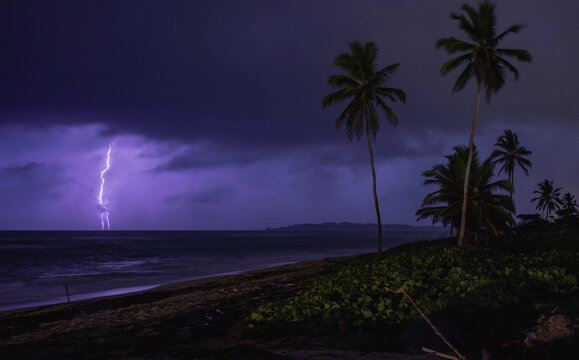 view from the beach with palm tree facing the ocean with heavy clouds and a lightning bolt in the distance