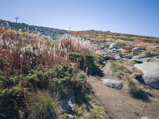 Vitosha Mountain near Cherni Vrah peak, Bulgaria