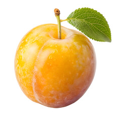 Mirabelle plum whole fruit on white background
