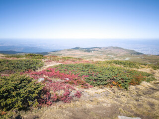 Vitosha Mountain near Cherni Vrah peak, Bulgaria
