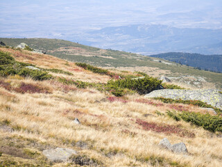 Fototapeta premium Vitosha Mountain near Cherni Vrah peak, Bulgaria