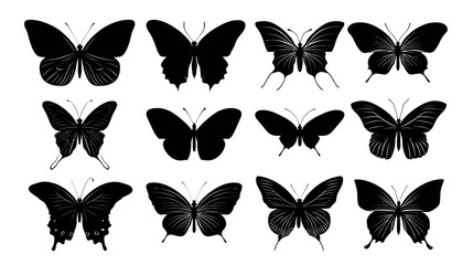 Obraz premium Butterfly insects set simple black silhouette vector isolated on white background - 