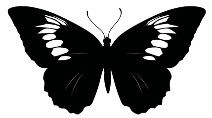 Butterfly simple black silhouette vector isolated on white background  -  