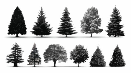 Obraz premium Christmas tree set simple silhouette vector on white background - 