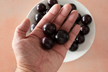 A top down view of a hand holding some muscadine grapes.