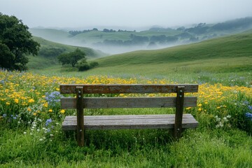 Peaceful countryside meadow with wooden bench and wildflowers under cloudy sky