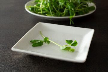 A view of a pea sprout on a plate.