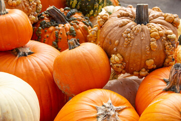 A view of a variety of rustic pumpkins in a pile.