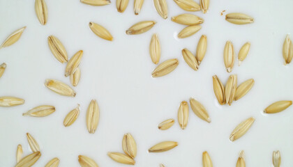 Slow motion dance of oat grains in milk pool minimalist food art bright studio setting