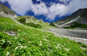 北アルプス 涸沢の夏景色