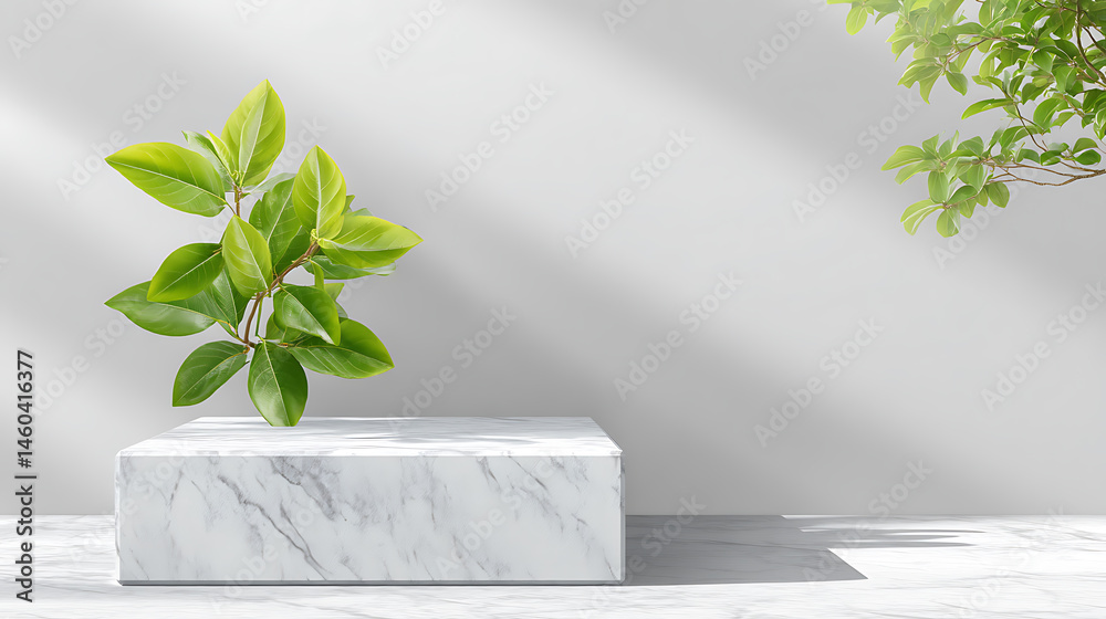 Aufkleber White marble podium stand mock up template display showcase for product presentation with freshness nature branch tree leave with shadow