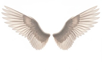 Obraz premium Pair of ethereal wings isolated against isolated on white background