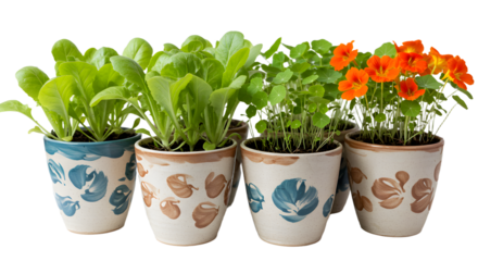 A vibrant display of potted herbs and flowers, showcasing fresh greenery and colorful blooms in a garden setting