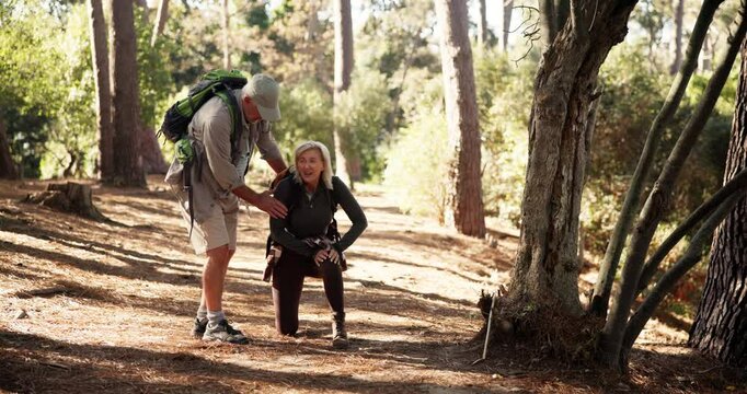 Nature, injury and couple hiking in forest on vacation, holiday or weekend trip together. Accident, knee pain and mature man helping woman with muscle sprain on trekking journey outdoor in woods.