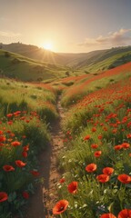 Rolling hills of green dotted with scarlet poppies bathed in golden sunlight ,  red flower,  day,  panorama