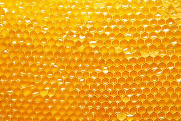 Honeycomb close-up. Sweet natural honey, beeswax. Delicious natural healthy dessert. Yellow background. Horizontal photo.	