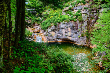 waterfall in the forest