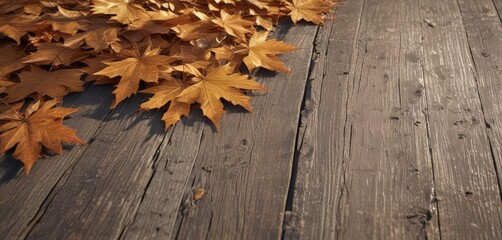 Crisp maple leaves on weathered wood planks, sunlit ,  orange,  fall,  autumn colors