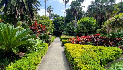 Lush Tropical Garden Pathway Surrounded by Vibrant Greenery and Flowers
