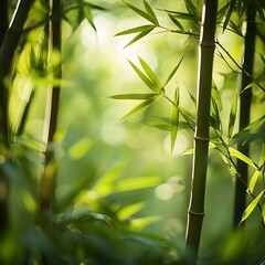 Lush bamboo forest bathed in sunlight (1)