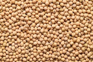 Soybean seeds texture background, Food ingredient, Top view