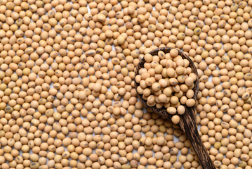 Soybean seeds in wooden spoon, Food ingredient, Top view