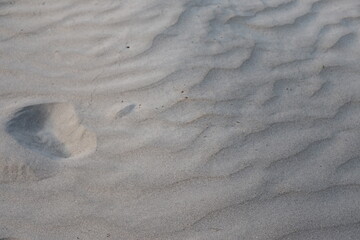 Footprint in Sand Texture Waves Closeup Footprint Impression on Sand surface