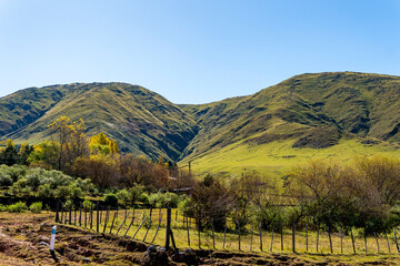 autumn landscape in the mountains