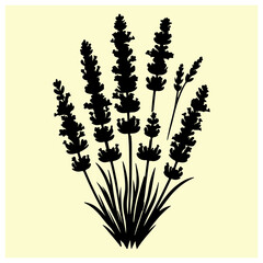A black silhouette of a Lavender 