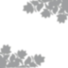 a leaf shadow background