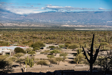 landscape with mountains