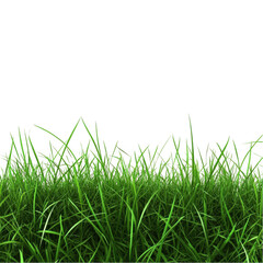 Obraz premium Vibrant green grass blades isolated on lush spring meadow texture nature on transparent background