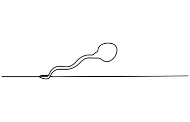 Digital illustration of male reproductive system