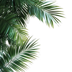 Obraz premium Lush green tropical palm leaves on image dark leaf plant photo fresh flora on transparent background