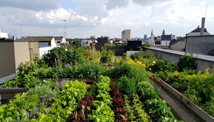 Rooftop Garden Full of Lush Vegetables and Colorful Flowers