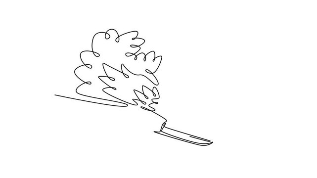 Plane crashes concept . Single line draw design. Full length animation illustration. High quality 4k footage