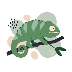 Fototapeta premium Green chameleon animal sitting on branch with leaves vector illustration in natural style 